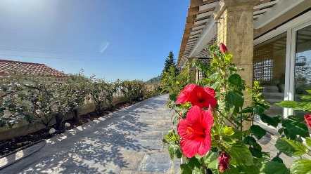 Villa indépendante de style provençal 9